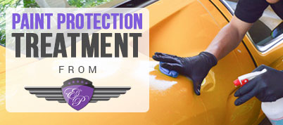 Paint Protection Treatment